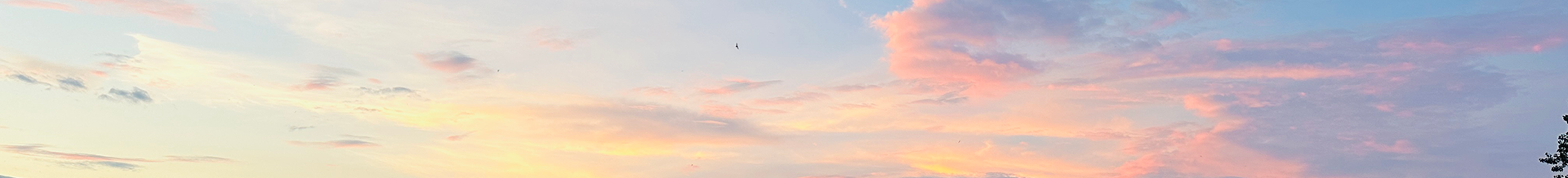 句容丁庄葡萄果园夏日天空与采摘氛围图
